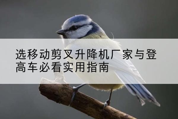 石门电动升降机厂家-选移动剪叉升降机厂家与登高车必看实用指南