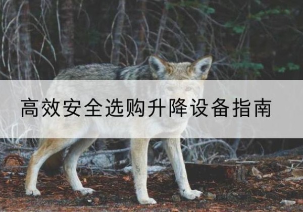 石门升降货梯厂家推荐-*安全选购升降设备指南